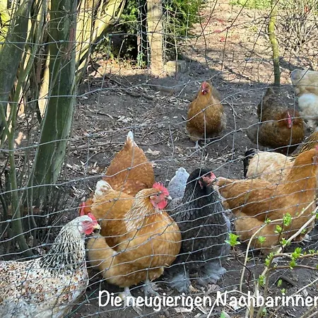 アパート Paul&peggy *