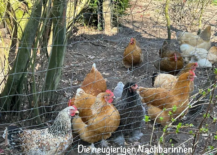 Appartement Paul&peggy *